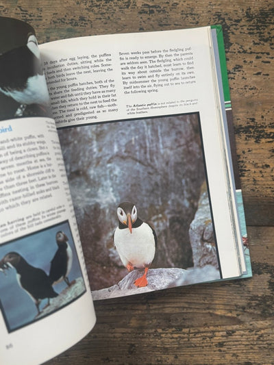 1973 The Ocean World Of Jacques Cousteau Vol 10 Book - Diamonds & Rust