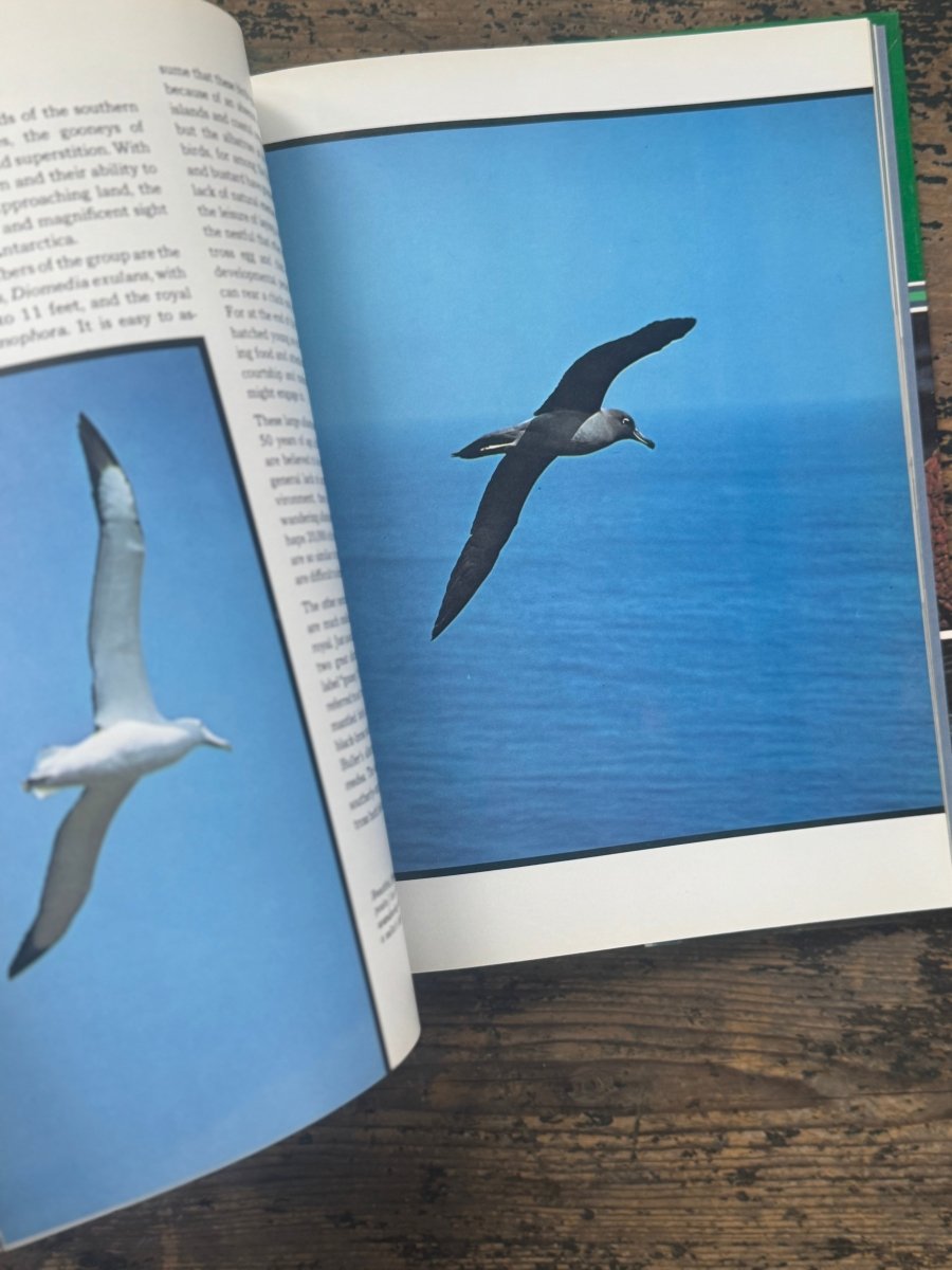 1973 The Ocean World Of Jacques Cousteau Vol 16 Book - Diamonds & Rust