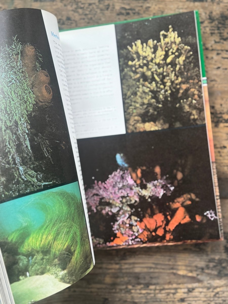 1973 The Ocean World Of Jacques Cousteau Vol 17 Book - Diamonds & Rust