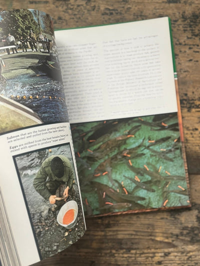 1973 The Ocean World Of Jacques Cousteau Vol 17 Book - Diamonds & Rust