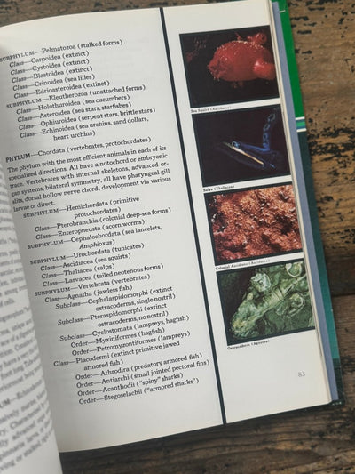 1973 The Ocean World Of Jacques Cousteau Vol 20 Book - Diamonds & Rust