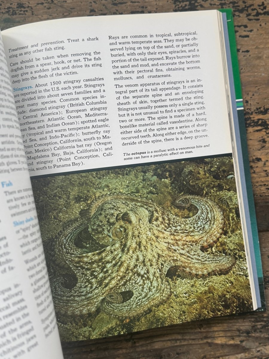 1973 The Ocean World Of Jacques Cousteau Vol 20 Book - Diamonds & Rust