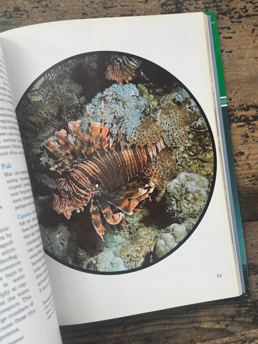 1973 The Ocean World Of Jacques Cousteau Vol 20 Book - Diamonds & Rust