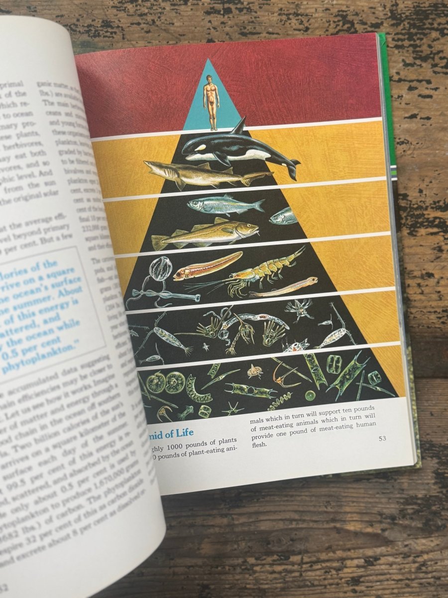 1973 The Ocean World Of Jacques Cousteau Vol 3 Book - Diamonds & Rust