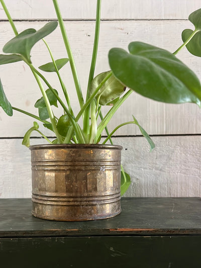 Vintage brass planter