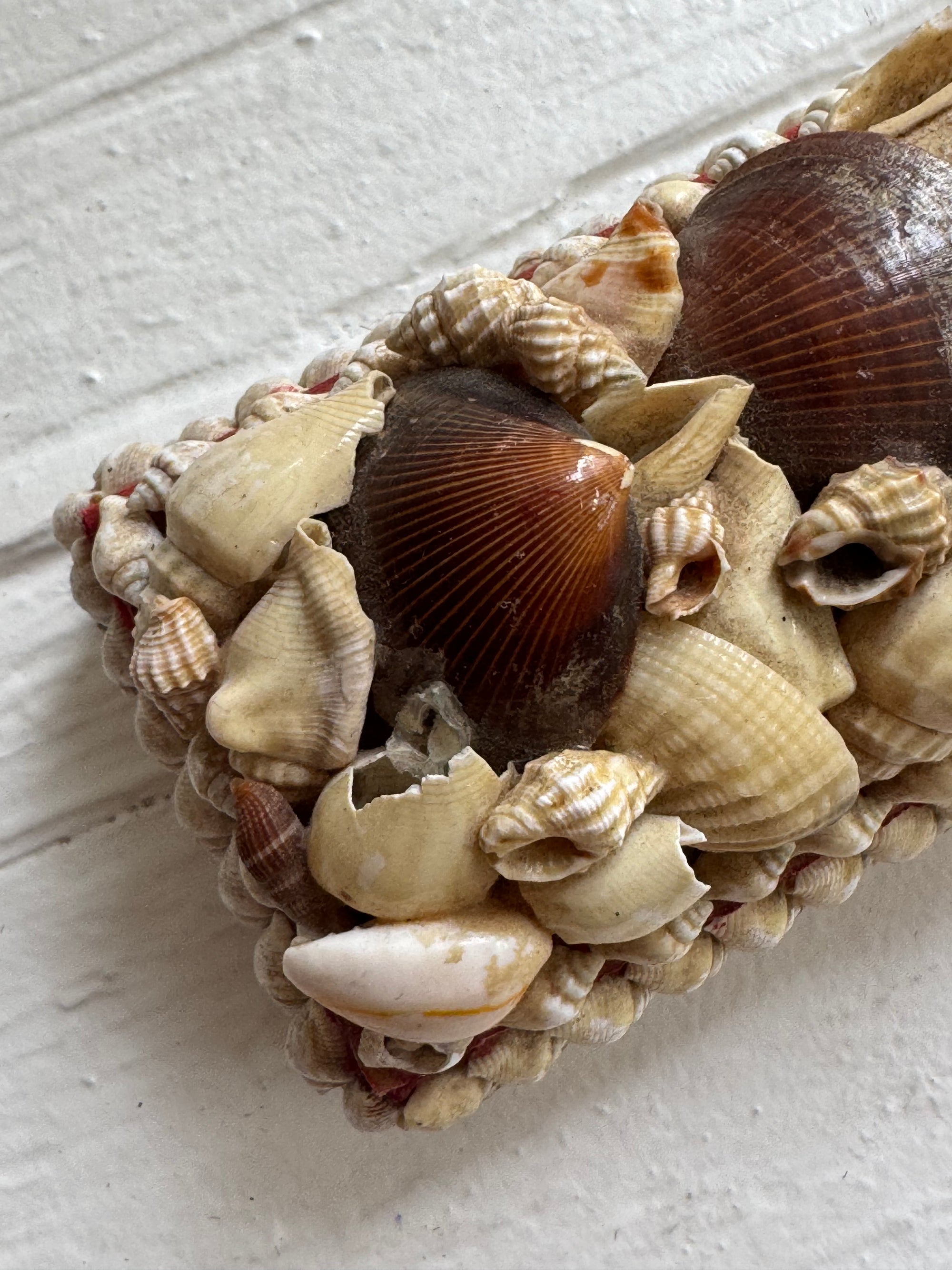 VTG Shell Box Art - Long