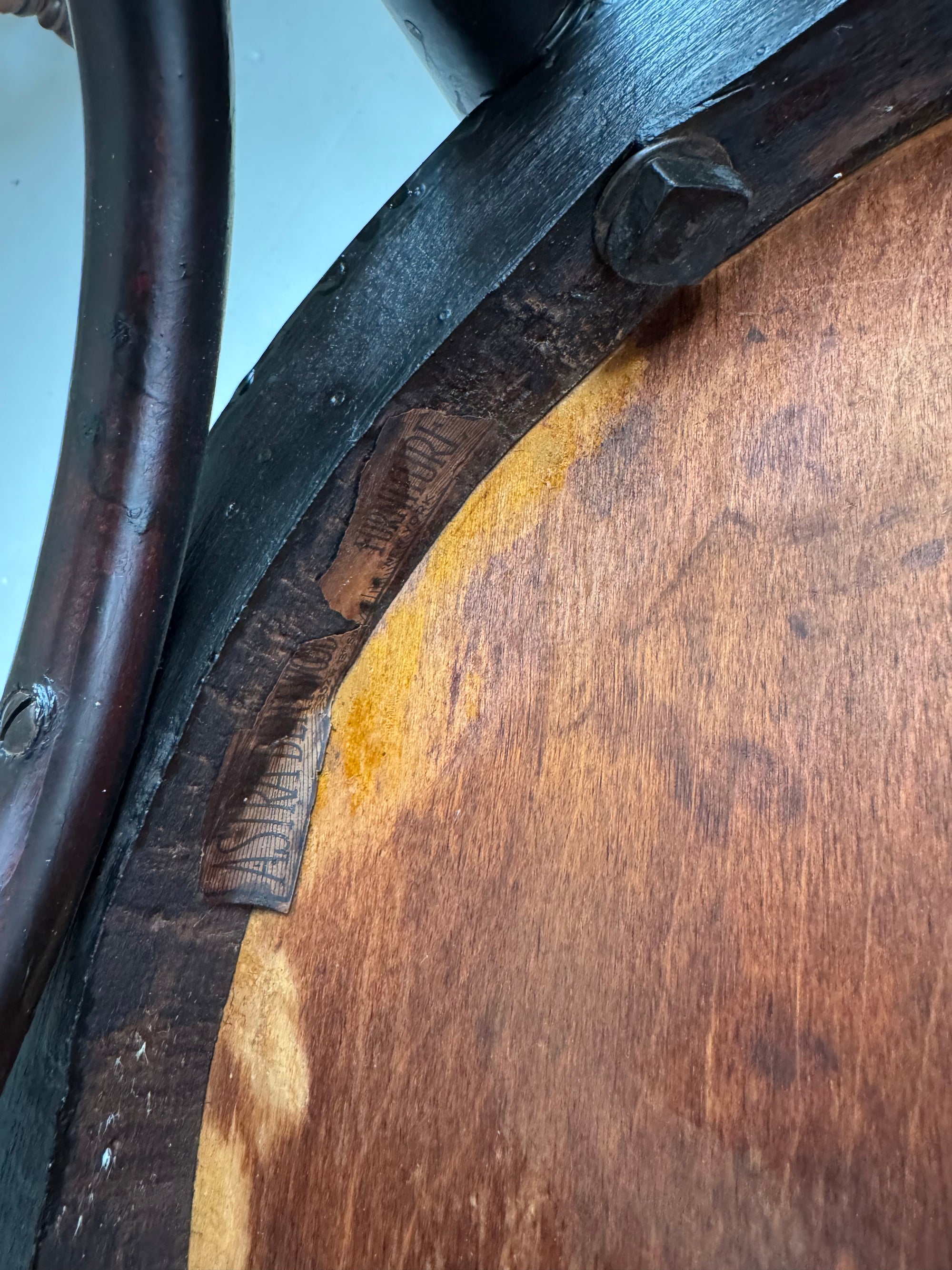 VTG Asira Bentwood Chair - Dark