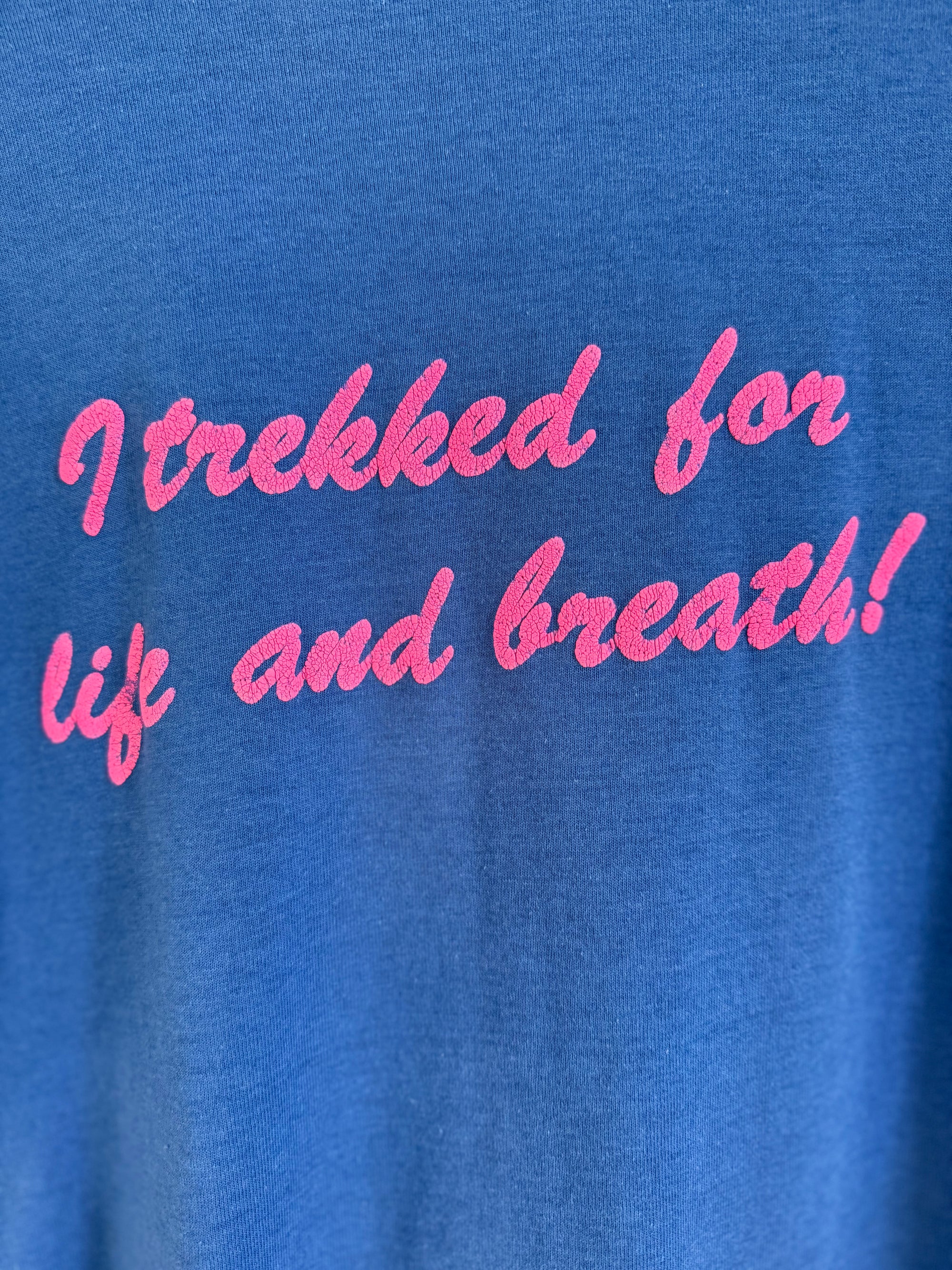 Vintage Ski Trek '90 Long Sleeve Tee Shirt