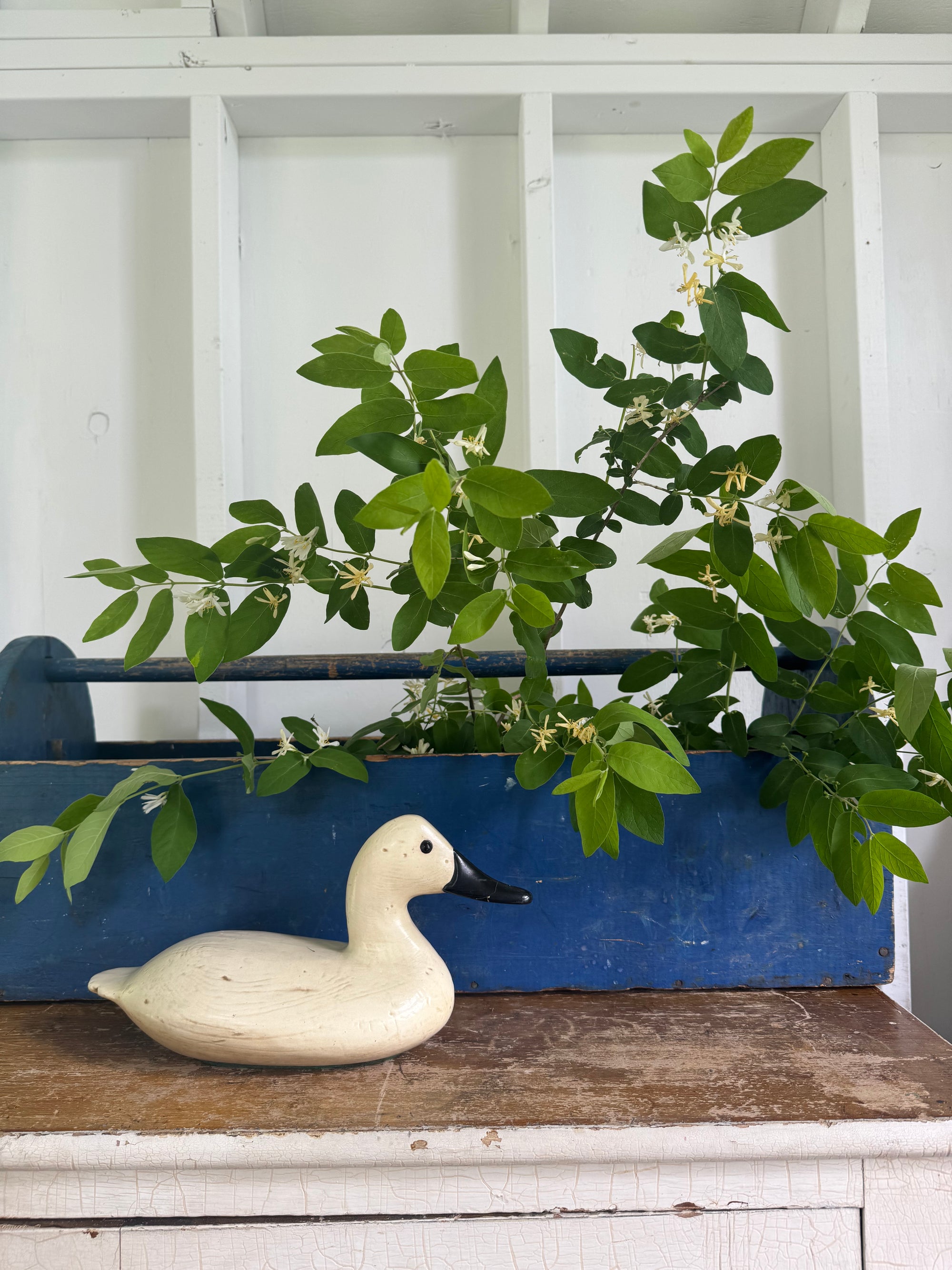 Vintage Duck