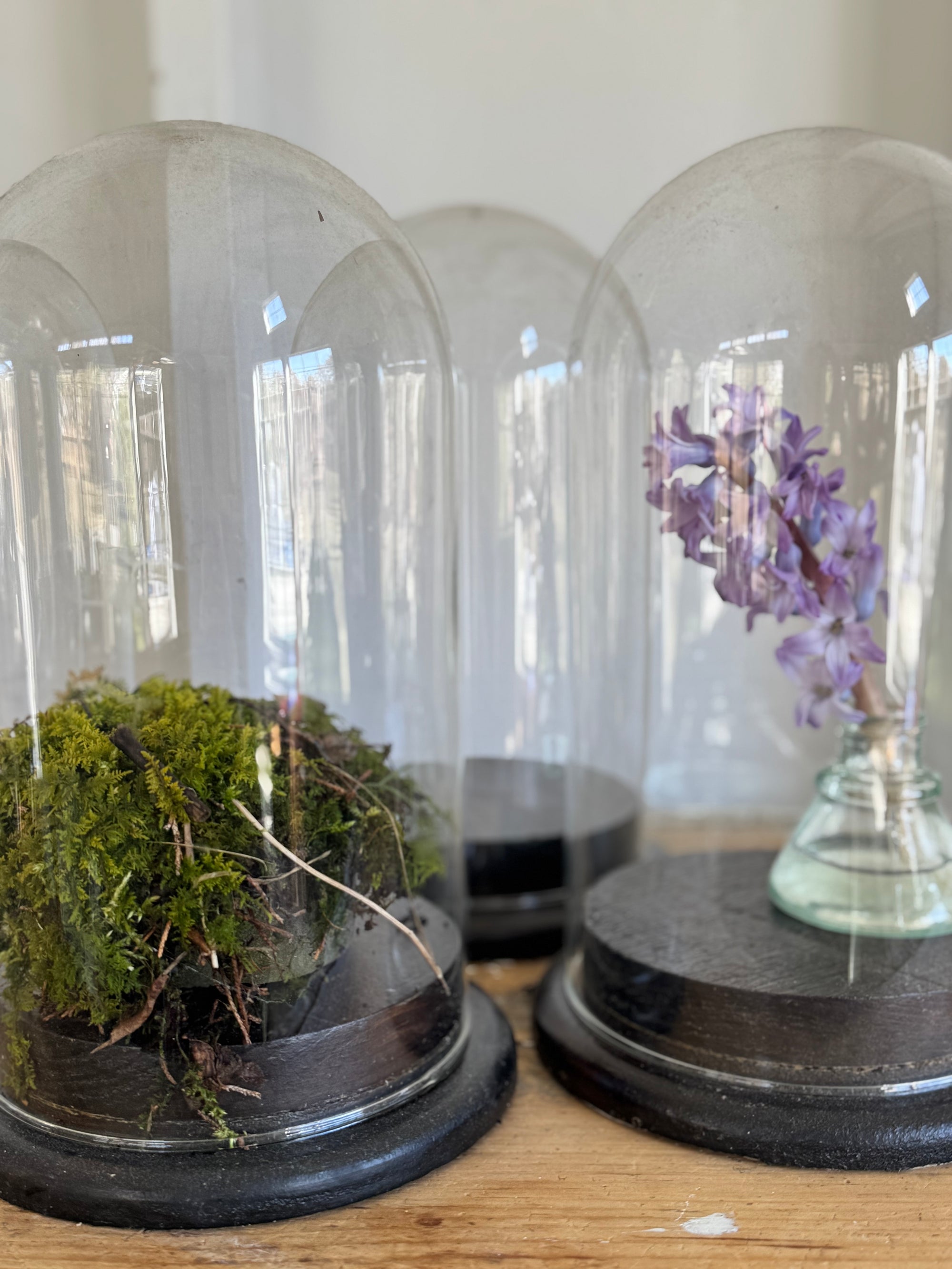 Antique Glass Bell Jar