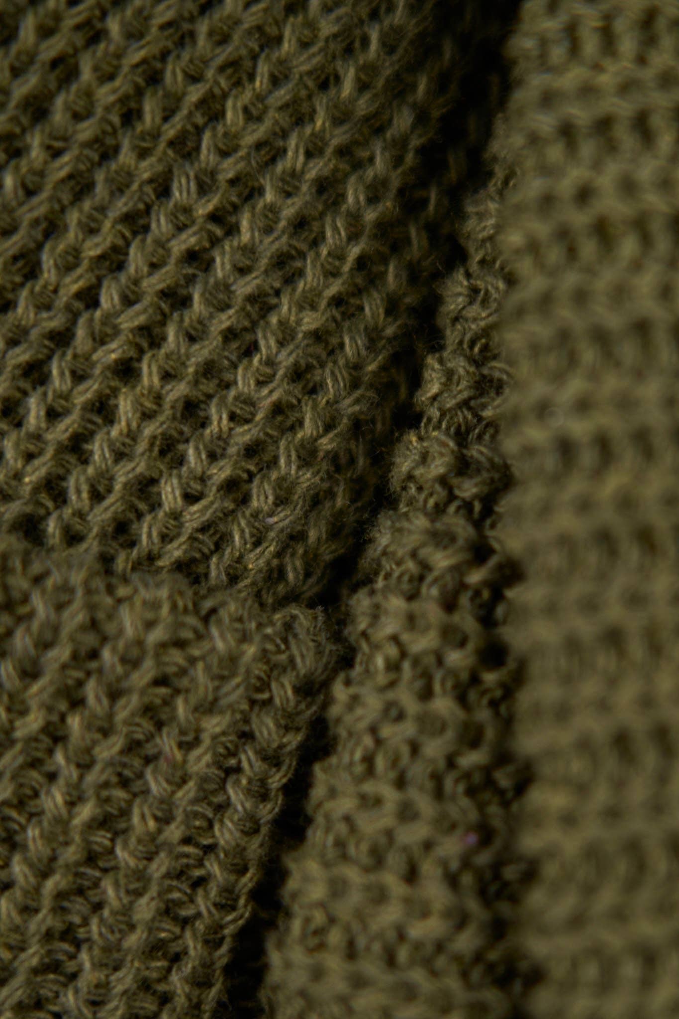 NEW Thicket Green Upcycled Cotton Watchcap: One Size