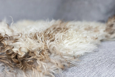 Curly Austrian Sheepskin | Natural Multi-tone | 105x60 cm
