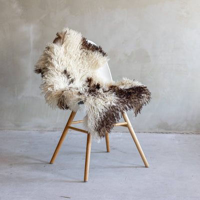Curly Austrian Sheepskin | Natural Multi-tone | 105x60 cm
