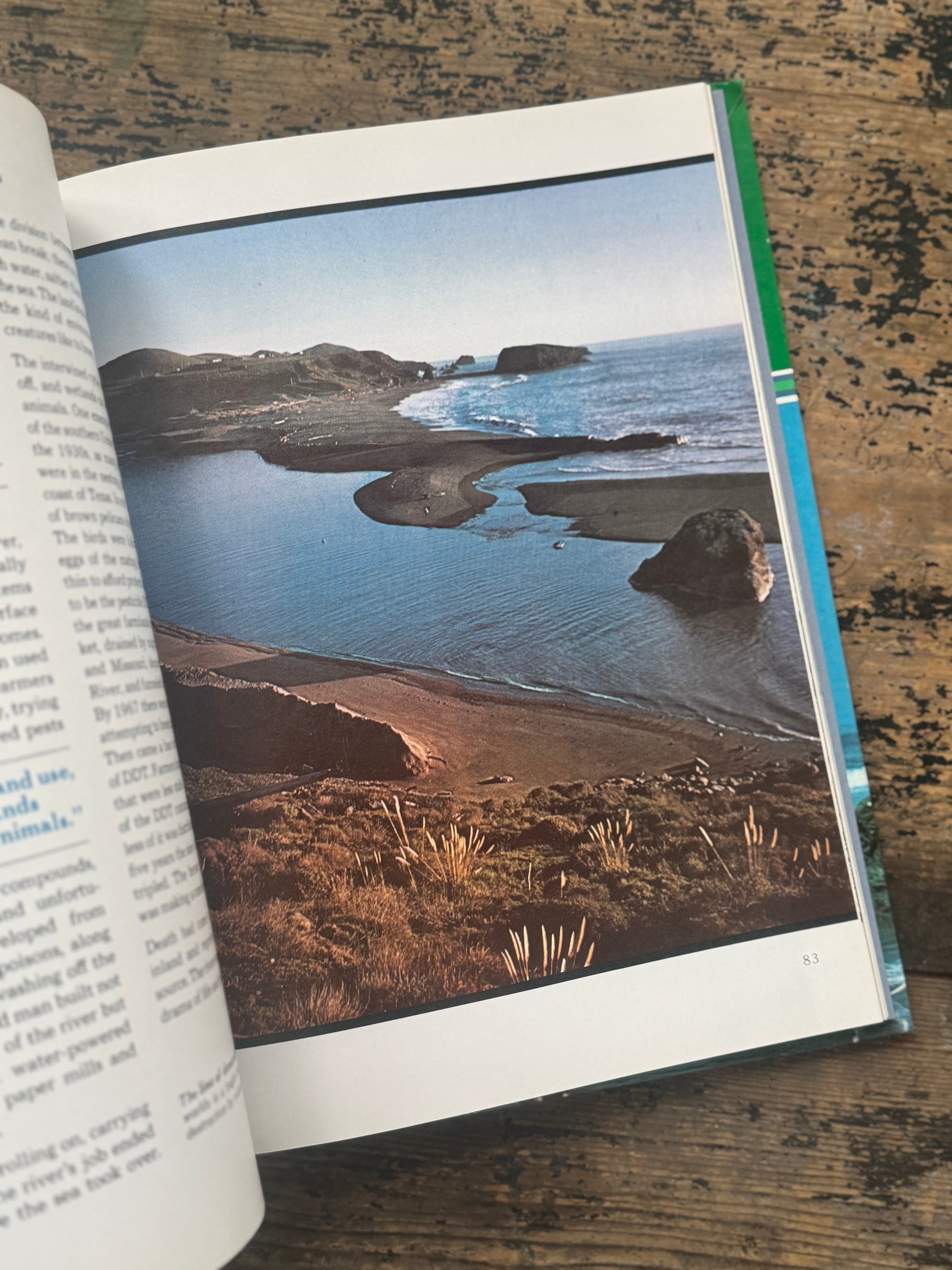 1973 The Ocean World Of Jacques Cousteau Vol 19 Book