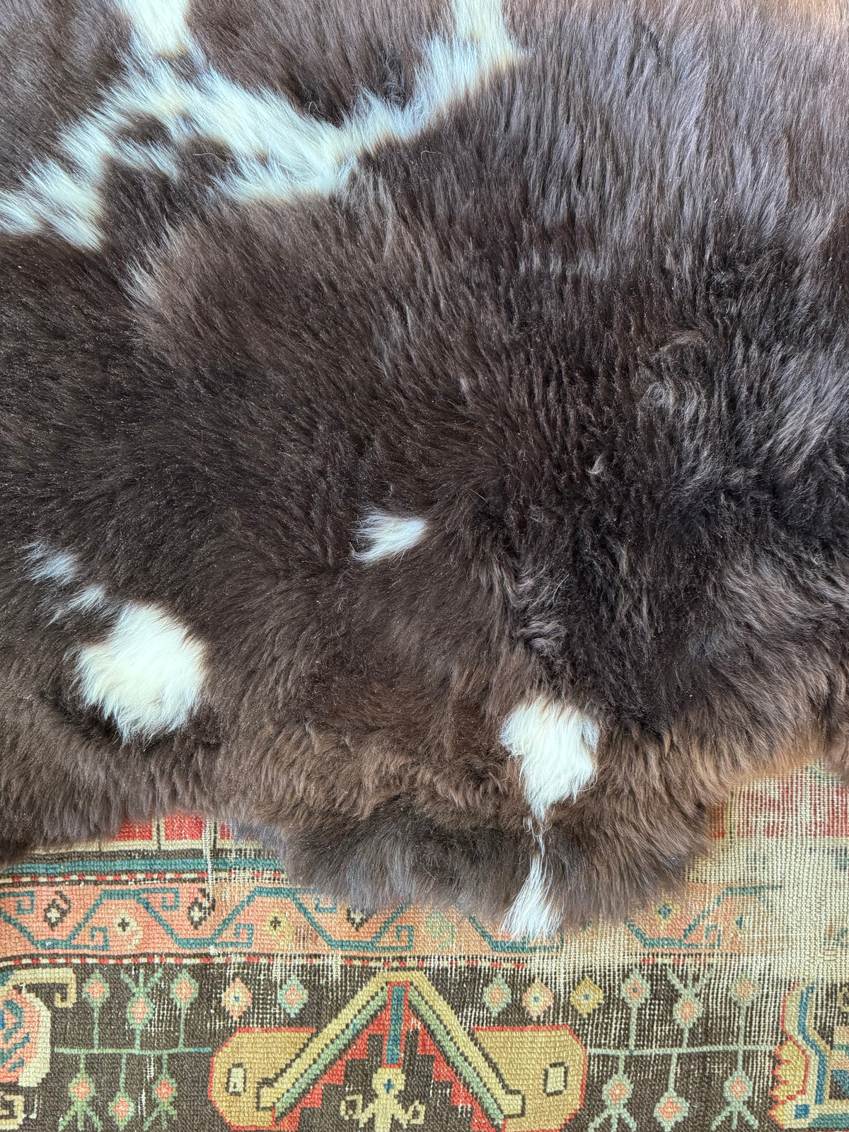 Sheep Skin - Brown + White Spots