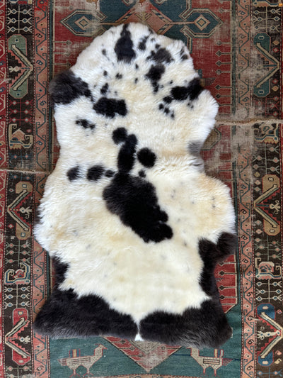 Sheep Skin - White + Brown