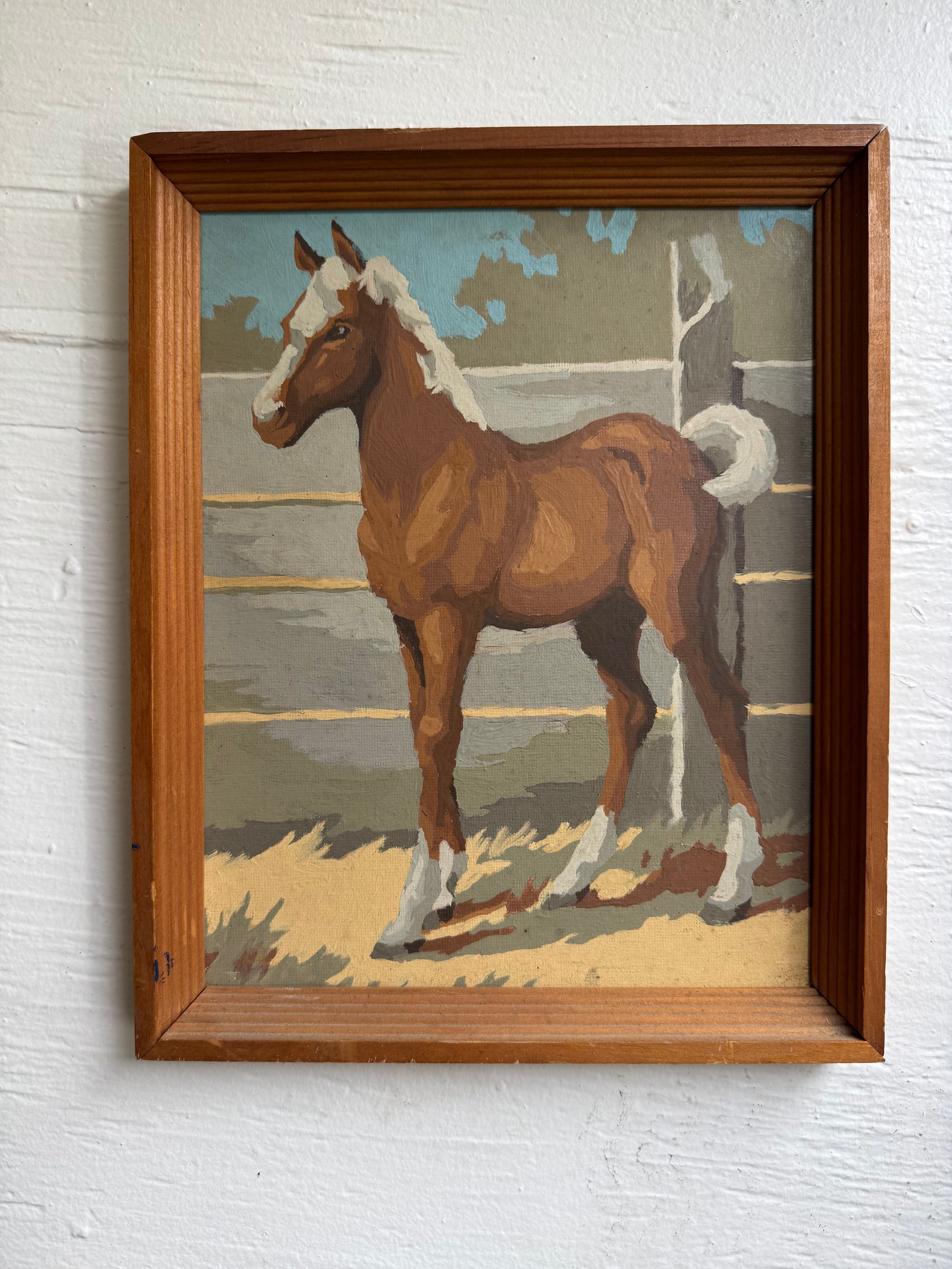 Paint By Numbers Horse - White Pony Tail