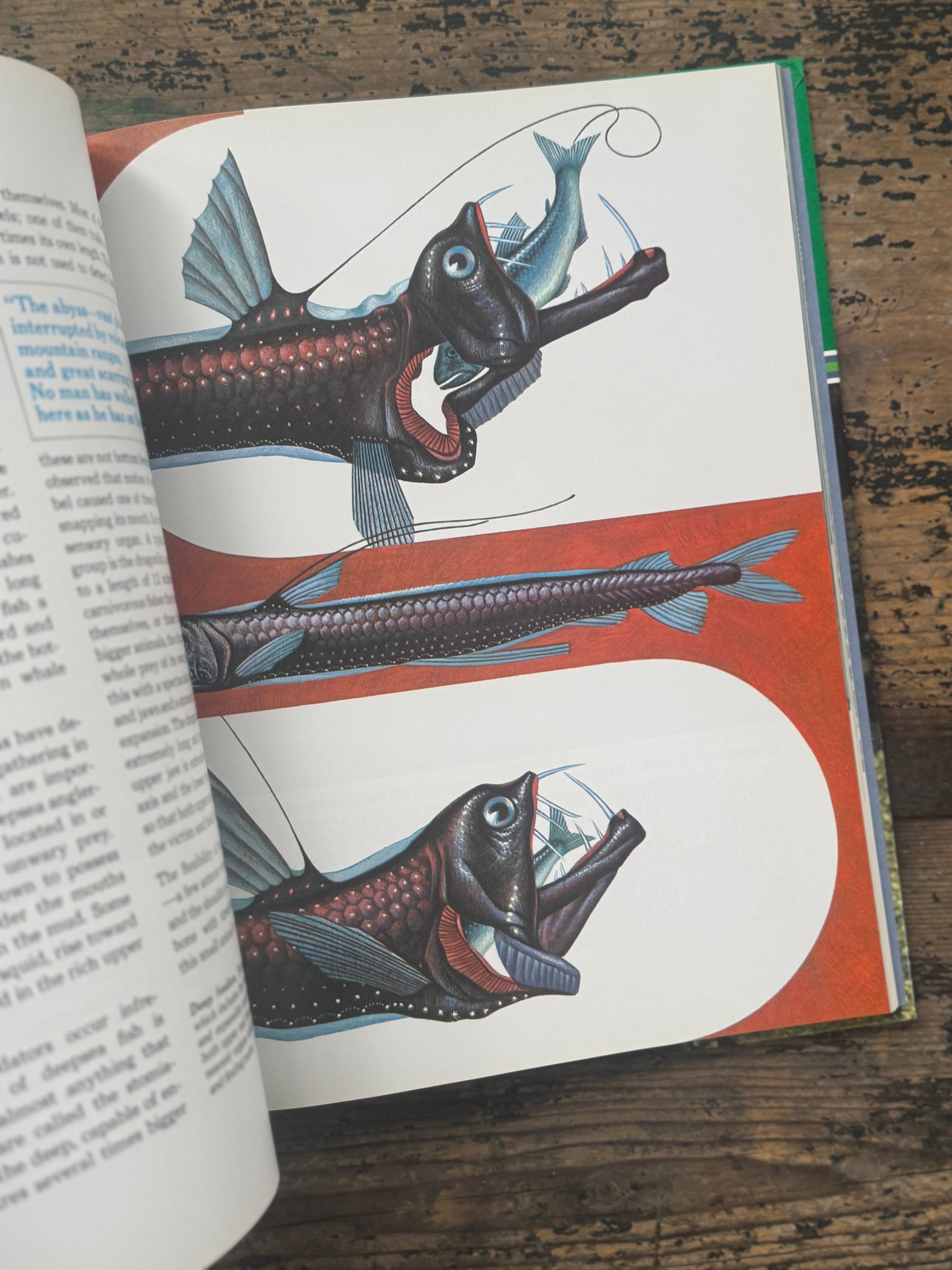 1973 The Ocean World Of Jacques Cousteau Vol 3 Book