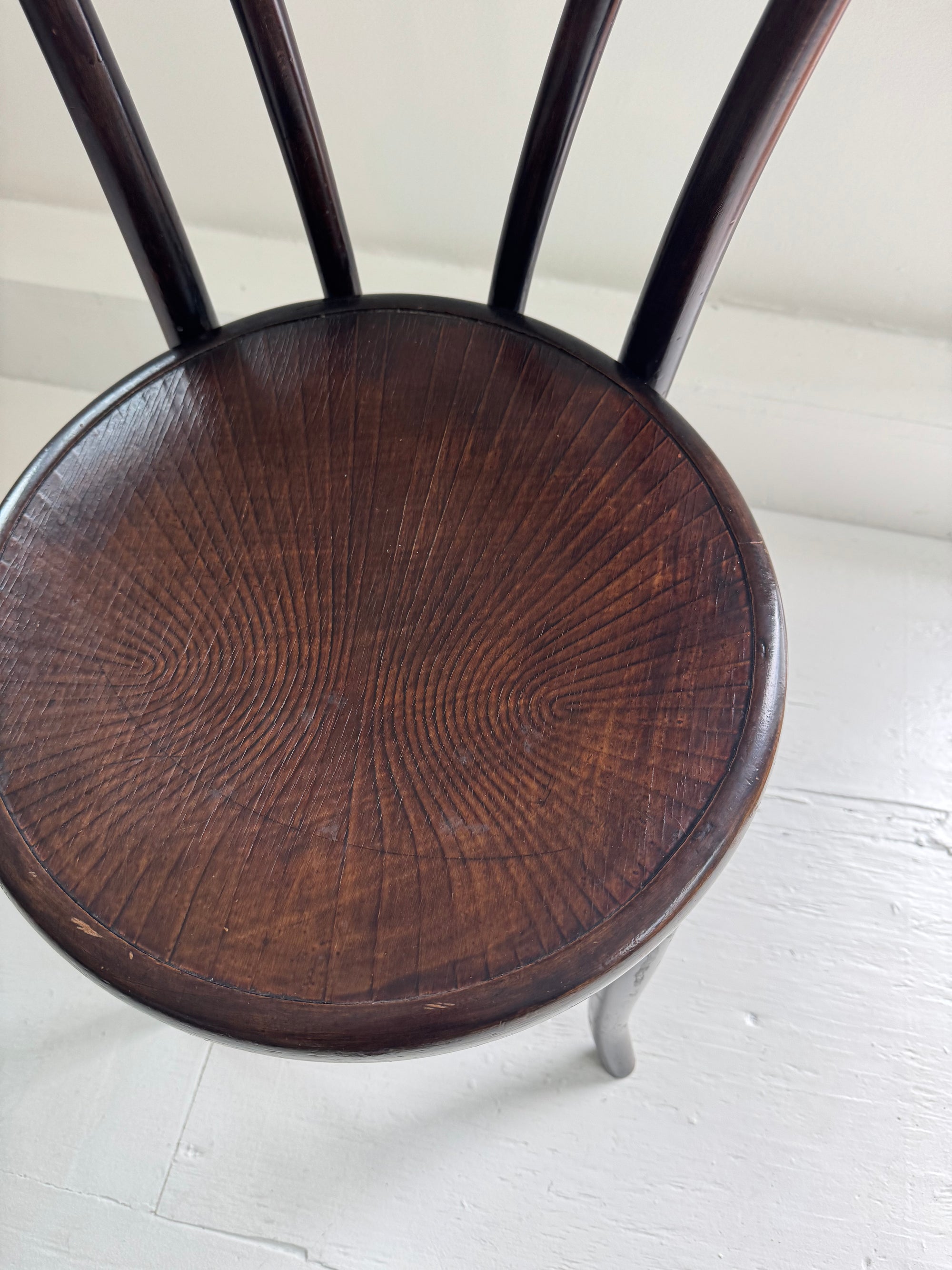 VTG Asira Bentwood Chair - Dark