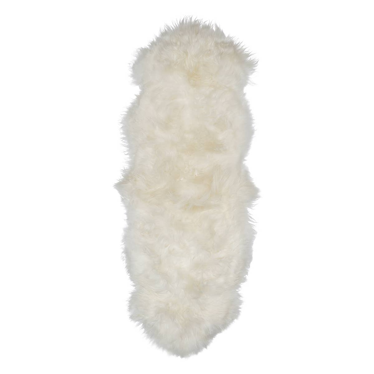 Icelandic Sheep: Single Shorn