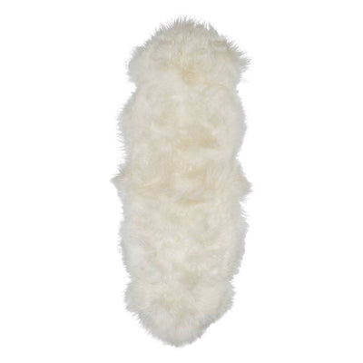 Icelandic Sheep: Single Shorn