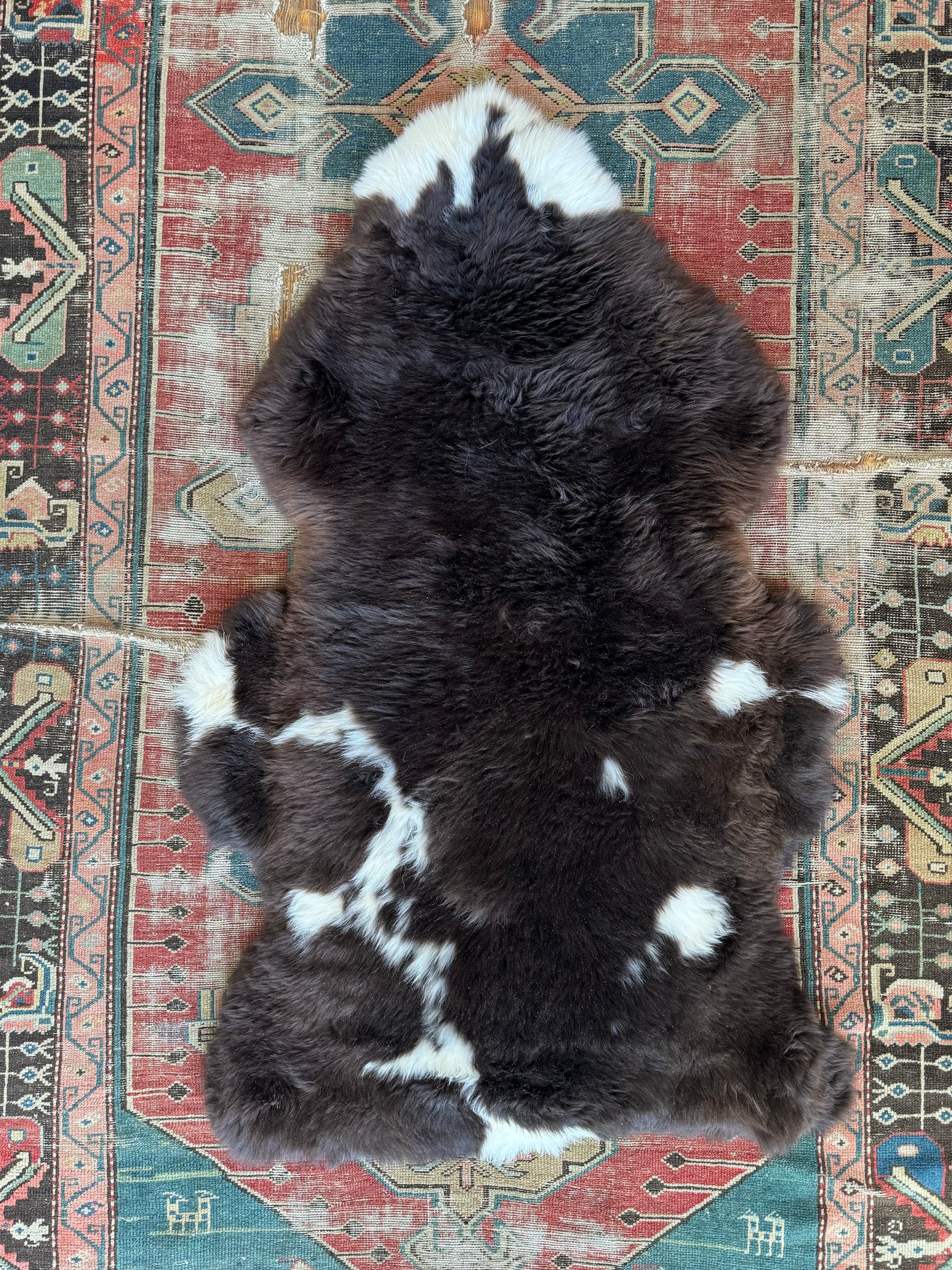 Sheep Skin - Brown + White Spots