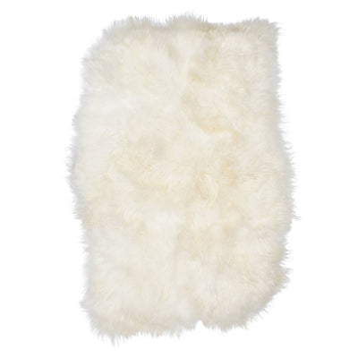 Icelandic Sheep: Single Shorn