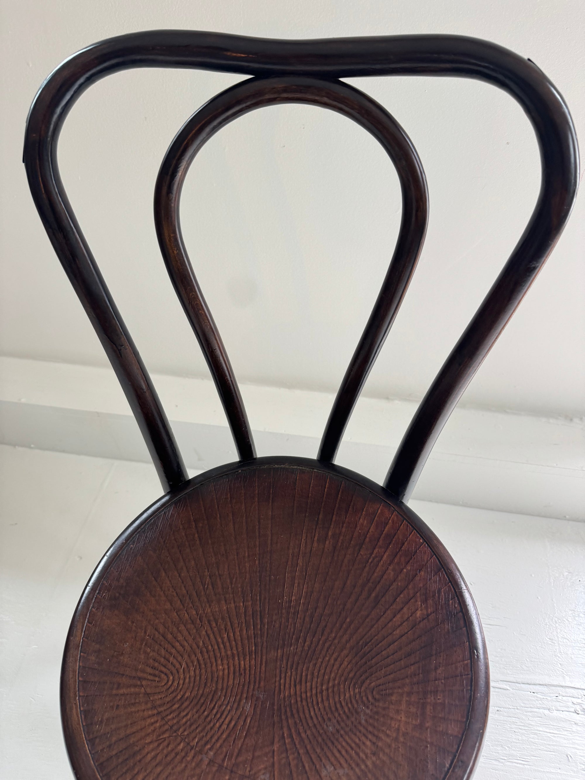 VTG Asira Bentwood Chair - Dark