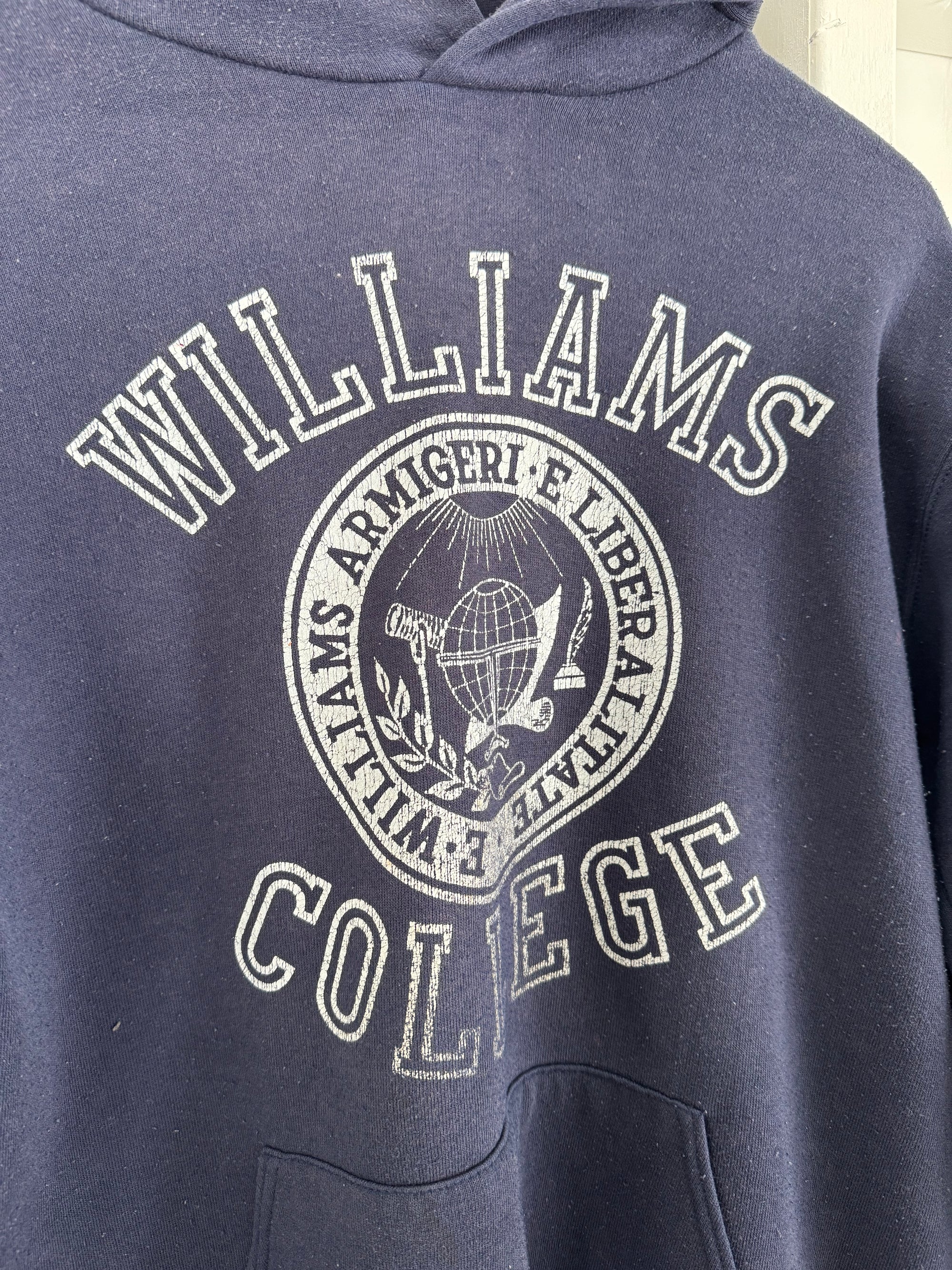 Vintage Williams Collage Hooded Sweatshirt
