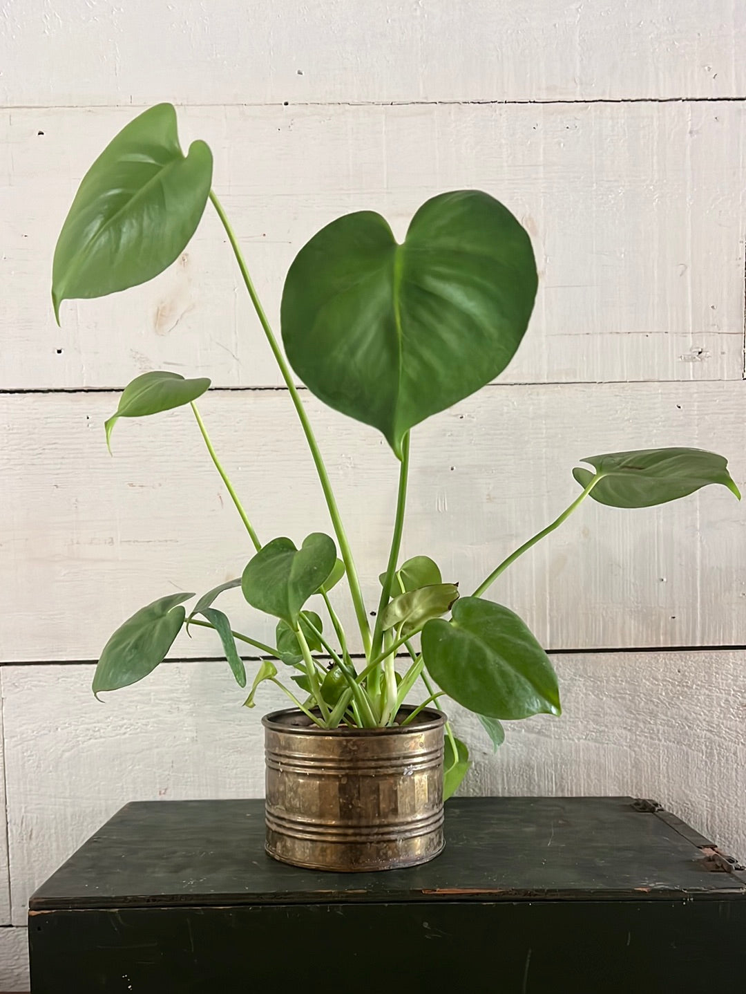 Vintage brass planter