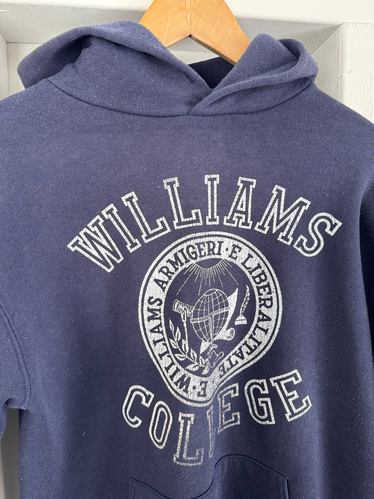 Vintage Williams Collage Hooded Sweatshirt