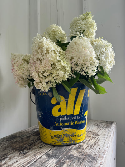 photo of Vintage ALL Detergent Metal Bucket