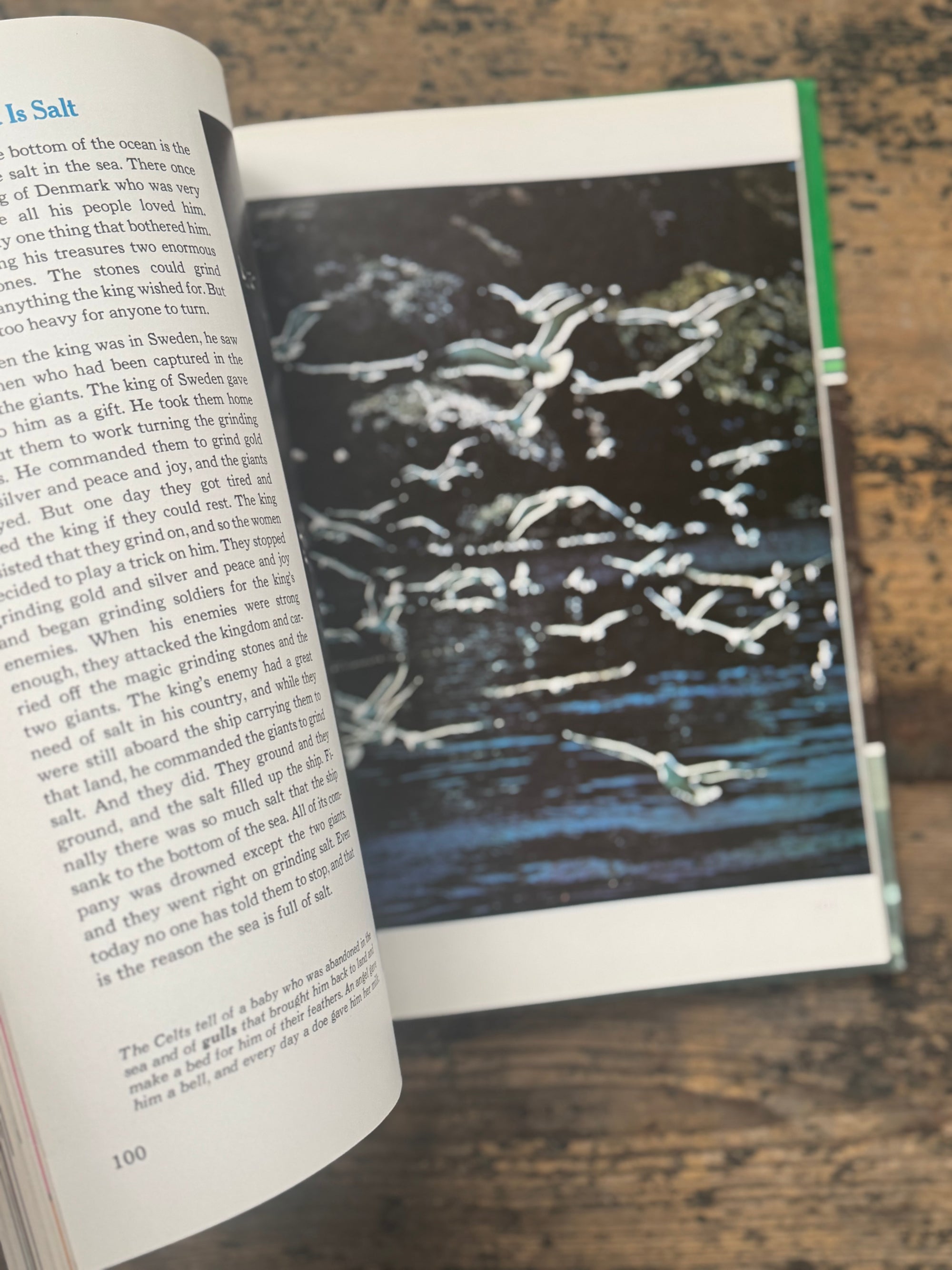 1973 The Ocean World Of Jacques Cousteau Vol 13 Book