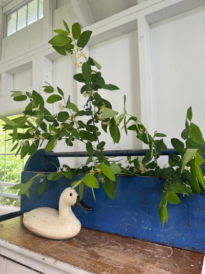 Vintage Duck