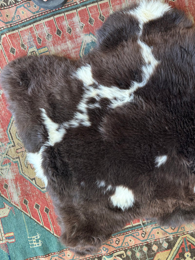 Sheep Skin - Brown + White Spots