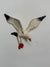 VTG Sea Gull Aluminum  - Small