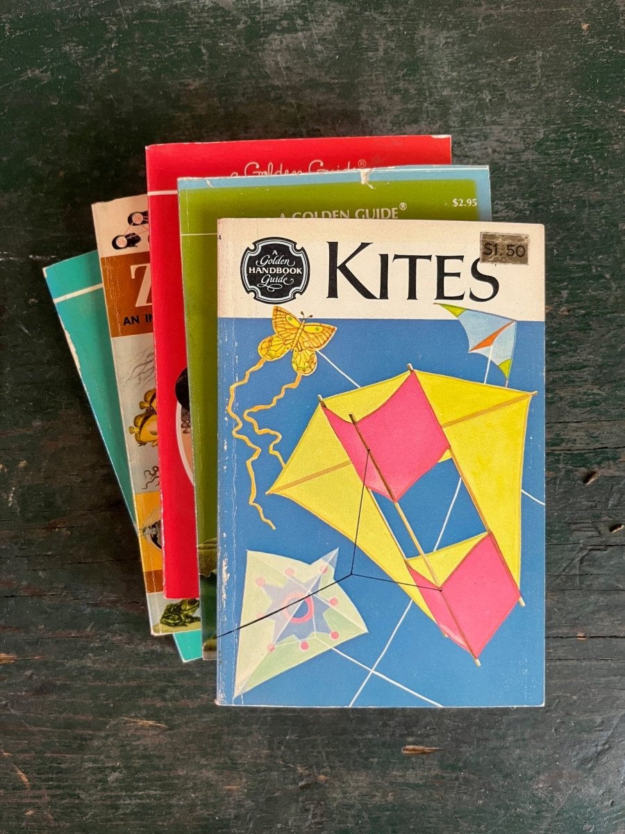 A Golden Guide Book - Kites - Diamonds & Rust