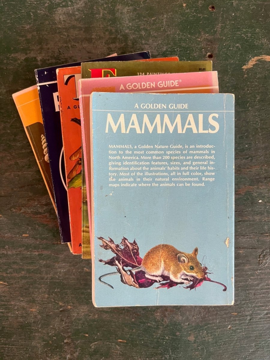 A Golden Guide Book - Mammals - Diamonds & Rust