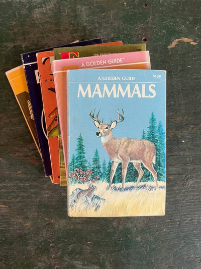 A Golden Guide Book - Mammals - Diamonds & Rust