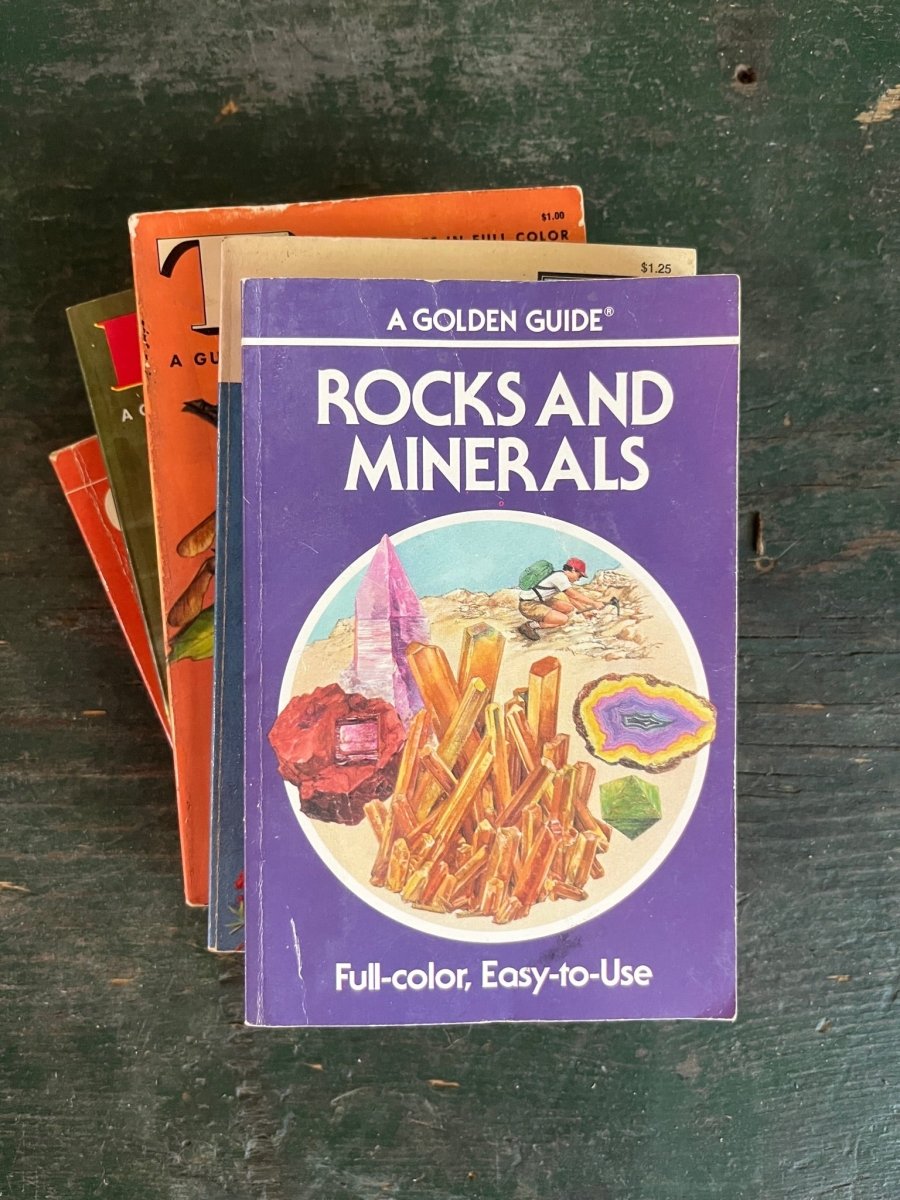 A Golden Guide Book - Rocks and Minerals - Diamonds & Rust