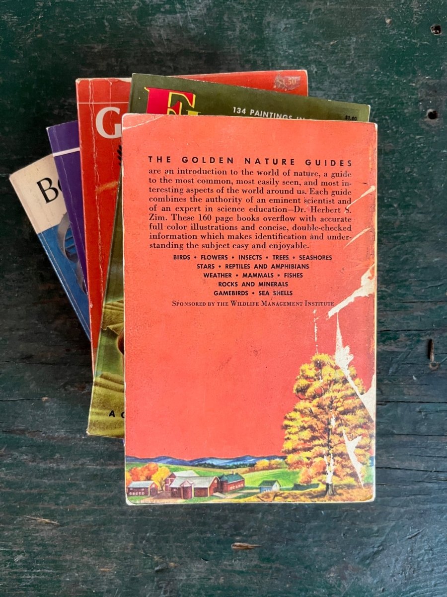 A Golden Guide Book - Trees - Diamonds & Rust