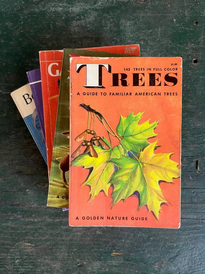 A Golden Guide Book - Trees - Diamonds & Rust