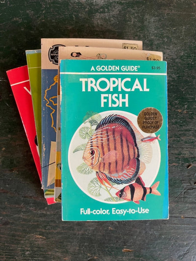 A Golden Guide Book - Tropical Fish - Diamonds & Rust