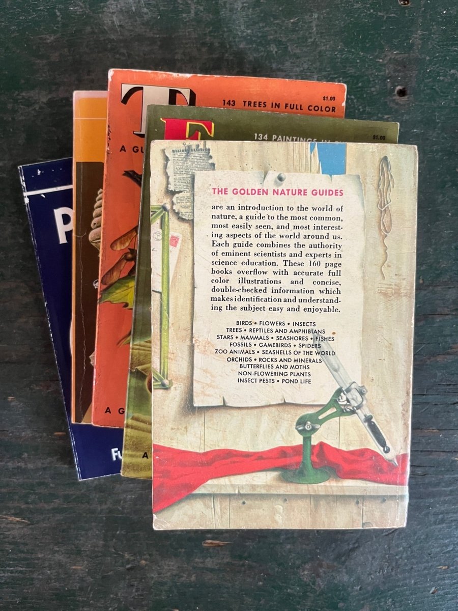 A Golden Guide Book - Weather - Diamonds & Rust