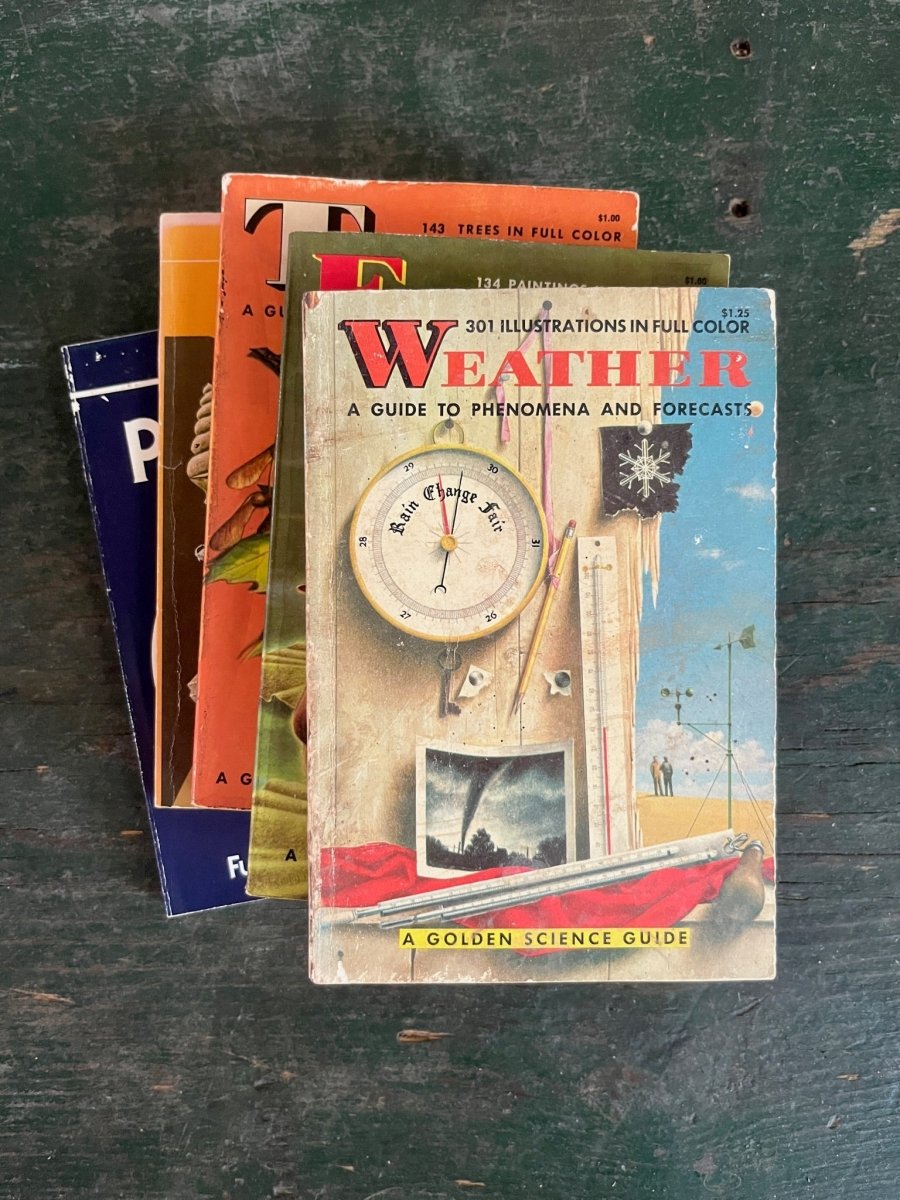 A Golden Guide Book - Weather - Diamonds & Rust