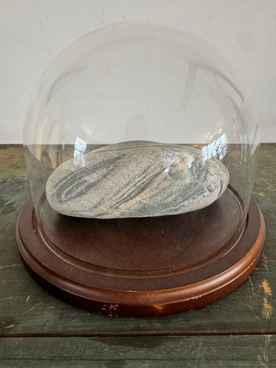 Antique Glass Bell Jar - Diamonds & Rust