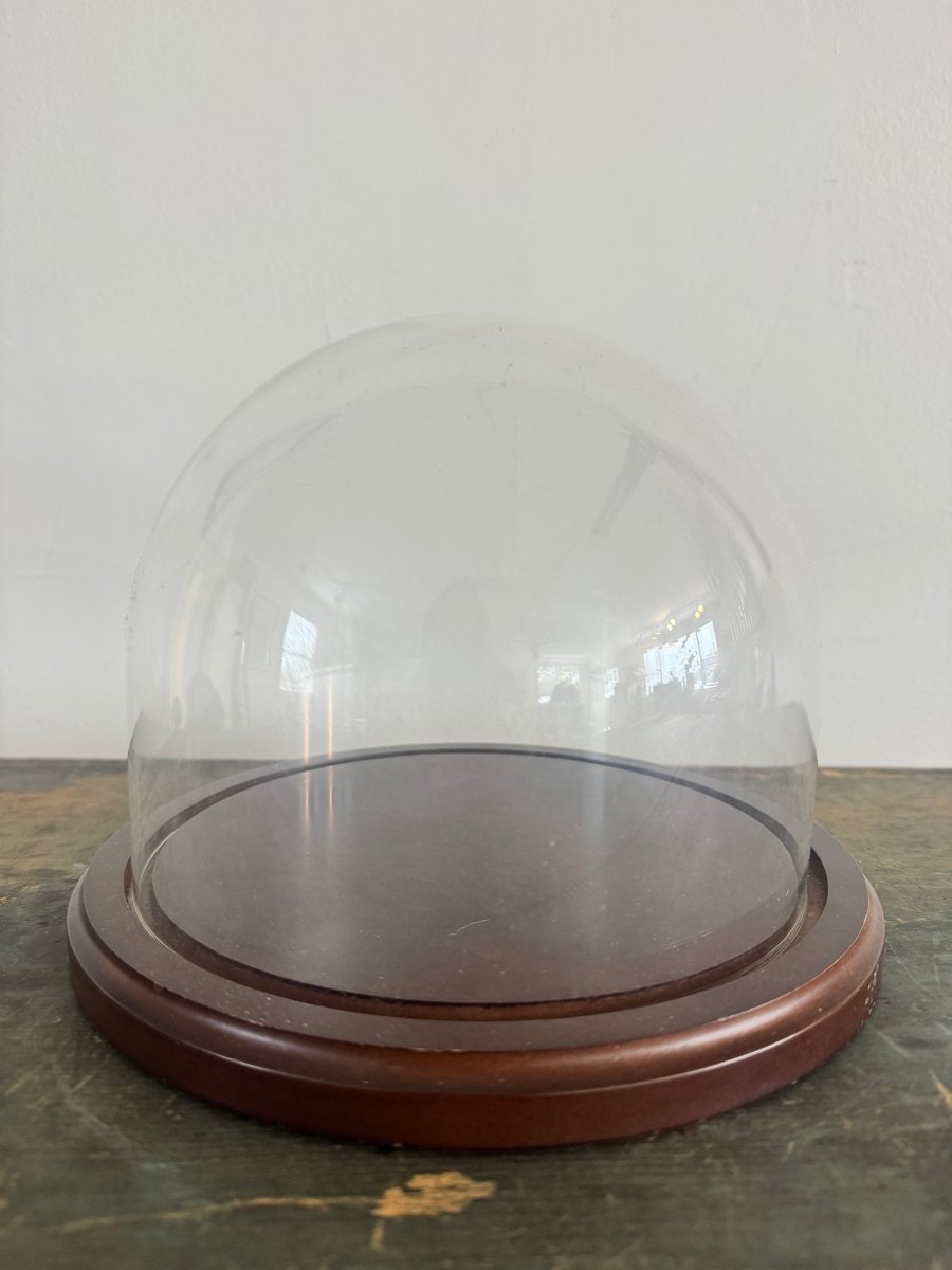 Antique Glass Bell Jar - Diamonds & Rust