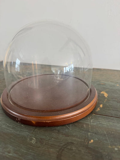 Antique Glass Bell Jar - Diamonds & Rust