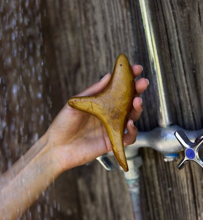 A.OK The Bird Body Gua Sha - Diamonds & Rust