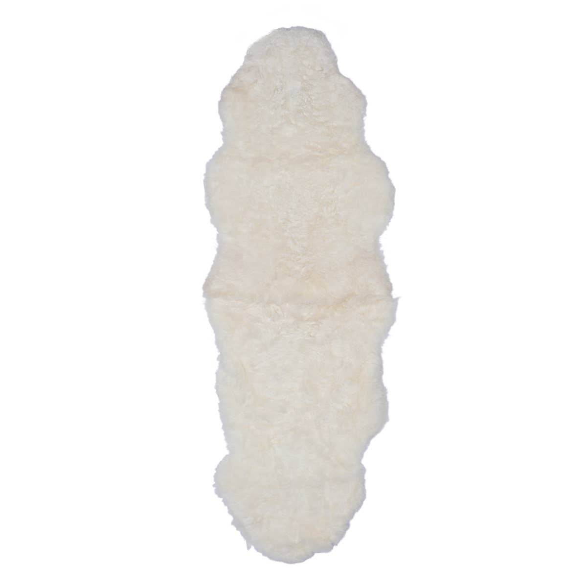 Icelandic Sheep: Single Shorn